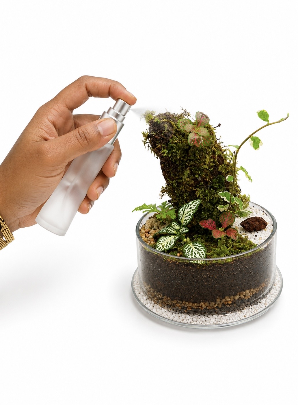 Pourquoi un mini vaporisateur est l’accessoire indispensable pour un terrarium fermé